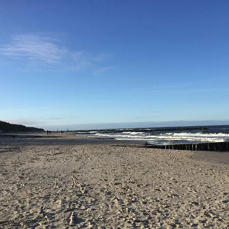 Apartament_20 Апартаменты Дзивновек